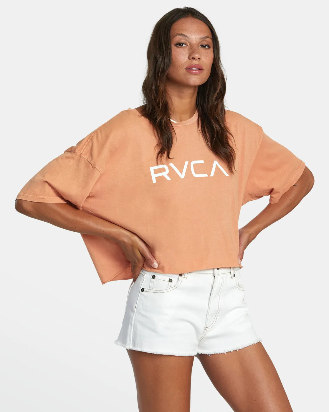 Big RVCA Short Sleeve Tee - Canyon Rose